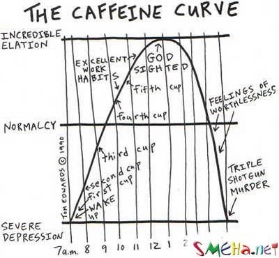 “Кофеиновая” кривая