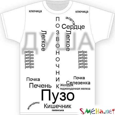 Строение человека