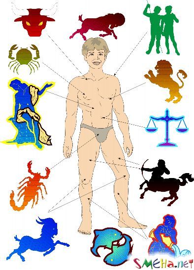 Знаки зодиака