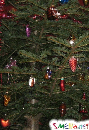 С Новым 2011 годом!