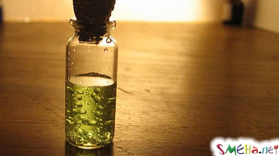 10 смертельных ядов и их действие на человека