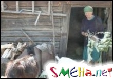Юные зоофилы полгода насиловали животных