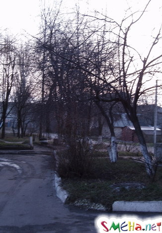 Зима в Украине